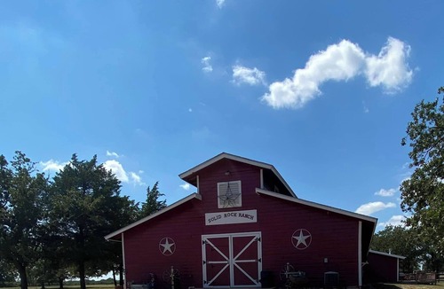 Carmine House | Welcome to Holy Cow!