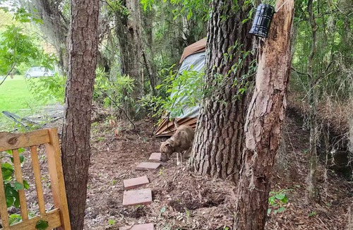 Brunswick RV Rental | Welcome to the 99 Retreat!