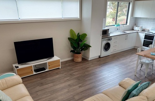 Red Head House | ~~~Welcome to The Shed Luxe~~~