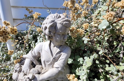 Martinborough House | Welcome to The Back Paddock