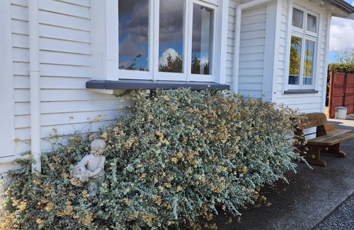 Martinborough House | Welcome to The Back Paddock