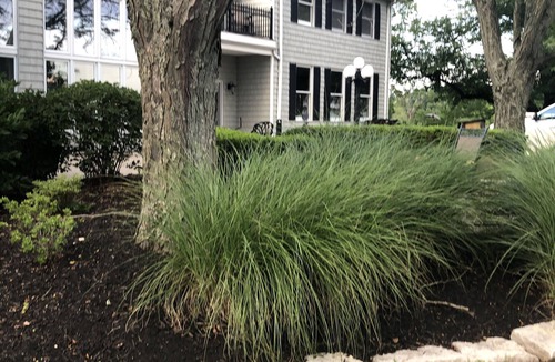 Union House | Welcome to the farm!