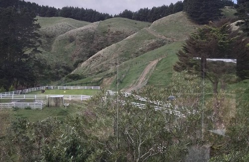 Tawa Cabin | Welcome to The Stables