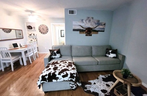 Houston Apartment | Welcome Wild Wild West!🐂 1bd near Galleria mall!