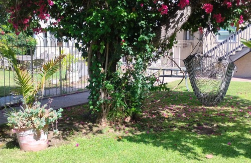 Alamitos Beach Cottage | Welcoming 1-bedroom cottage with AC in Long Beach, ca. CLOSE TO L.B. GRAND PRIX