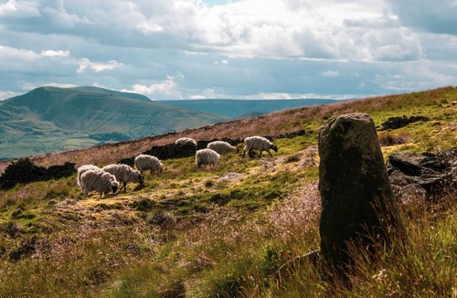 Castleford House | Well Designed Property with Luxe Living