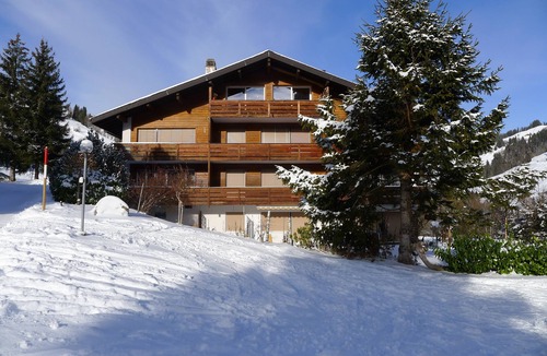 Ruedisbach Apartment | Well-kept apartment in the Swiss mountains (whether Interlaken)