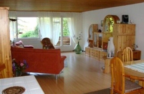 Ruedisbach Apartment | Well-kept apartment in the Swiss mountains (whether Interlaken)