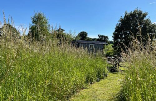 Newport House | Wellbank Shepherds Hut