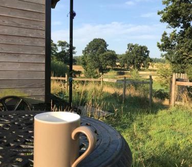 Newport House | Wellbank Shepherds Hut