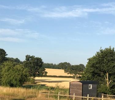 Newport House | Wellbank Shepherds Hut