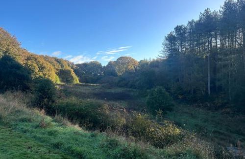 Newcastle-Under-Lyme House | Welldale