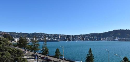 Oriental Bay Apartment | Wellington Waterfront, Exceptional Harbour Views