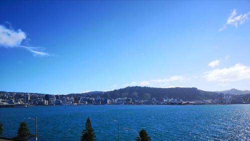 Oriental Bay Apartment | Wellington Waterfront, Exceptional Harbour Views