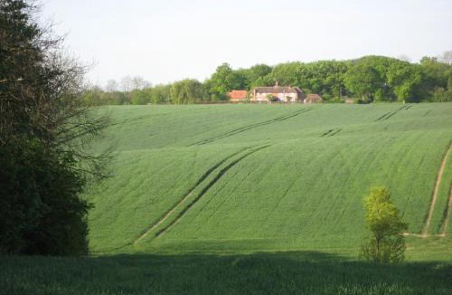 Much Hadham House | Wellrose Barn