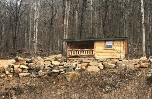 Trenton Cabin | Wendell Tree Top View