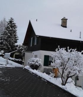 Wildhaus House | Wenk Elisabeth