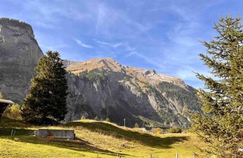 Kandersteg Apartment | Wesley House