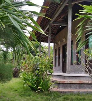 Pemuteran Boat Rental | West Bali Menjangan Tour