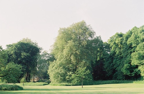 Wimborne Saint Giles Cabin | West Pepper Pot Lodge