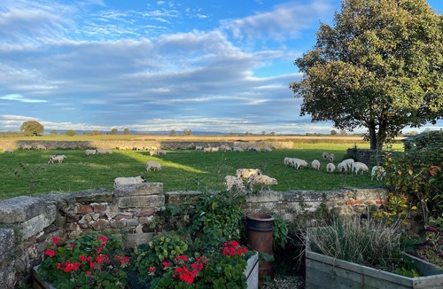 Melmerby Cottage | West View