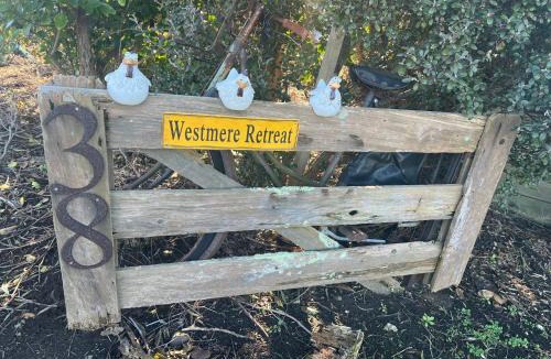 Westmere Apartment | Westmere Retreat