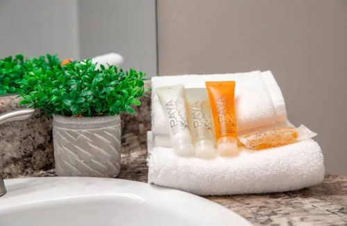 Beach Park Apartment | Westshore South Tampa