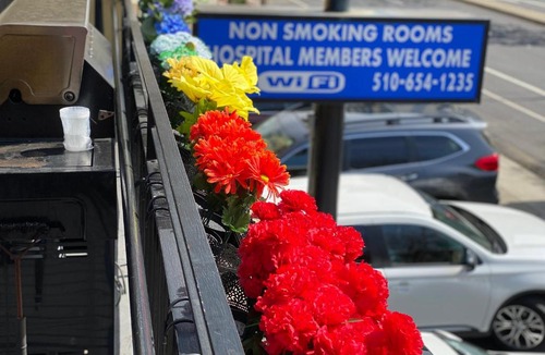 Mosswood Hotel | Westwind Lodge