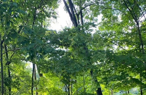 Walden RV Rental | Westwood Riverside ( Second Heaven)