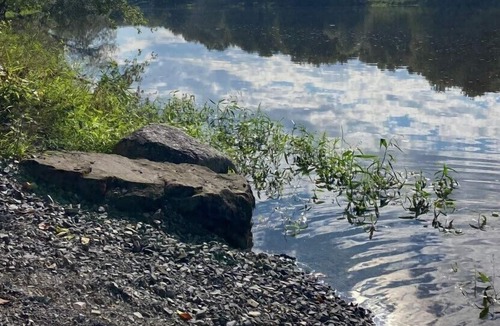 Walden RV Rental | Westwood Riverside ( Second Heaven)