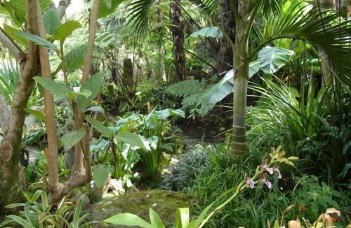 Kerikeri Cottage | Wharepuke Subtropical Accommodation