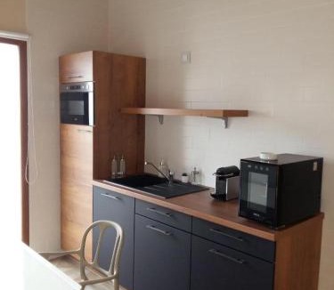 Saint-Vulbas Apartment | What Else Hotel