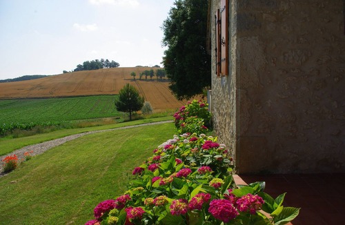 Saint-Leon House | Wheat and its natural swimming pool