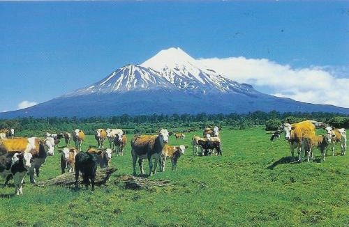 Ohangai House | Wheatly Downs Farmstay and Backpackers