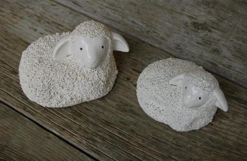 Ohangai House | Wheatly Downs Farmstay and Backpackers