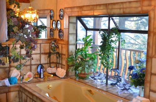 Zephyr Cove Bed & Breakfast | Where Eagles Fly Bed & Breakfast