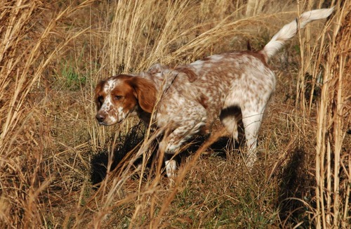 Pelham House | Where Old World Meets Old South