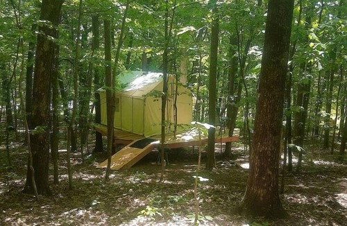 Grandview RV Rental | Whimsical Forest Safari Tent Haven Near Laurel Creek, Tennessee