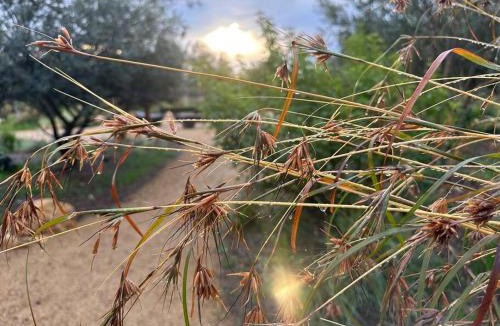 Willunga House | Whimsical Willunga Getaway