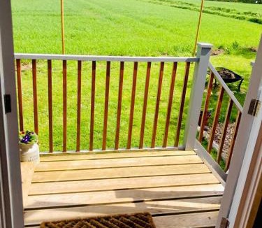 Eye Apartment | Whiskers and Woods Shepherd Hut