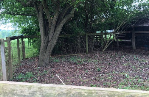 Woden House | Whisper Oaks 15 miles to SFA coliseum. Quiet and nestled in the country!