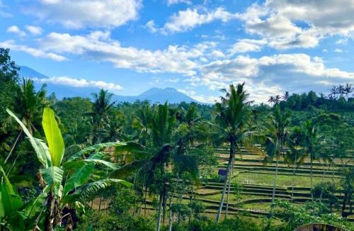 Tua Cabin | Whispering Hills