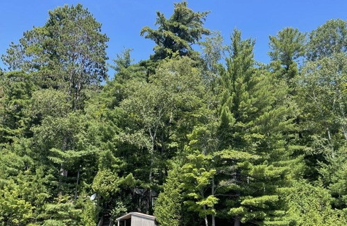 Bishop Corners Cottage | Whispering Pines Cottage