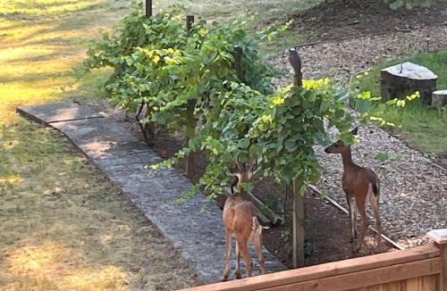 Union Hill-Novelty Hill House | Whispering Pines Farmhouse