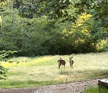 Union Hill-Novelty Hill Ski Chalet | Whispering Pines Farmhouse