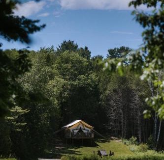 Grafton Hotel | Whispering Springs Wilderness Retreat