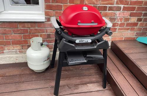 Mairangi Bay Apartment | Whitby Studio - Mairangi Bay Beach