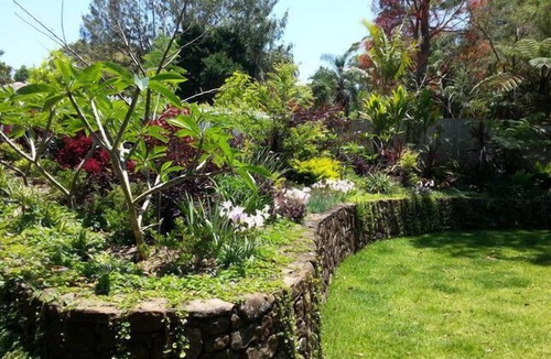 Bangalow Apartment | White Cedar Apartment