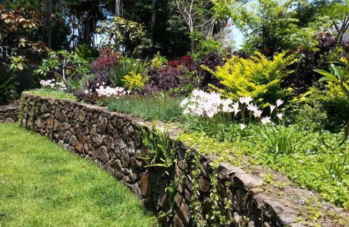 Bangalow Apartment | White Cedar Apartment