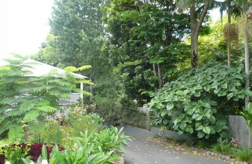 Bangalow Apartment | White Cedar Apartment